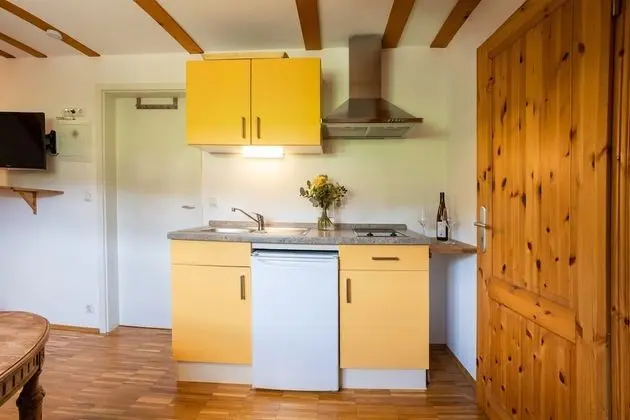Stüdyo, Özel Banyo, Üzüm Asması Manzaralı (Nr. 2)