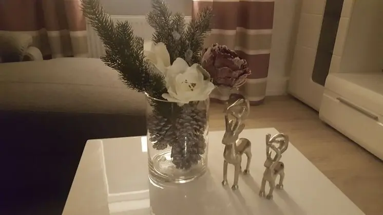 Apart Daire (Rechts-incl Cleaning & Towel Fee 75€)