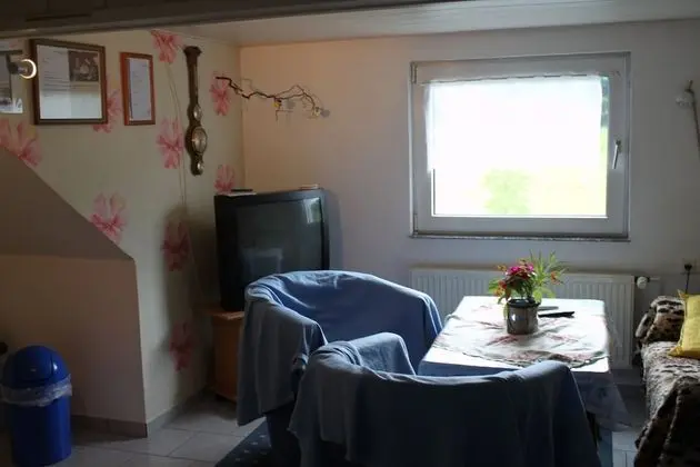 Apart Daire (2)