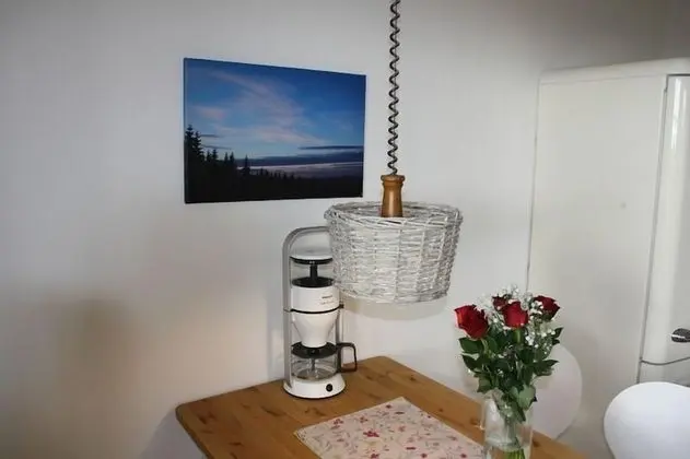 Apart Daire, 1 Yatak Odası, Balkon (Südblick)