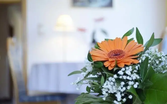 Apart Daire (ALMENRAUSCH)