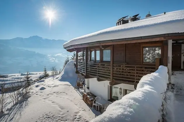 Deluxe Studio Waldhorb 5