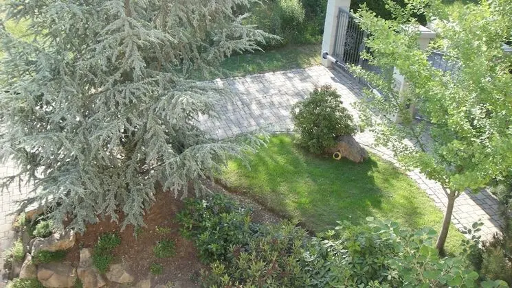 Comfort Daire, 1 Yatak Odası, Sigara İçilmez