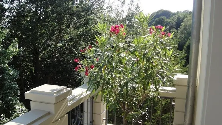 Comfort Stüdyo, Balkon