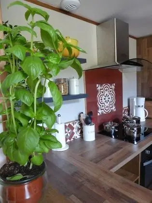 Panoramic Kır Evi, Dağ Manzaralı