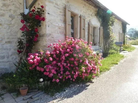 Panoramic Kır Evi, Dağ Manzaralı