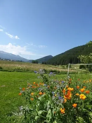 Tek Büyük Yataklı Oda, Özel Banyo, Dağ Manzaralı