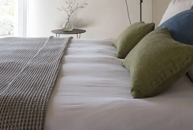 Tek Büyük Yataklı Oda, Banyolu/Duşlu, Bahçe Manzaralı (Oliviers)