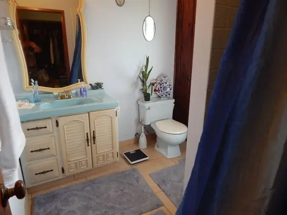 Deluxe Oda, 1 Büyük (Queen) Boy Yatak, Özel Banyo (Master)