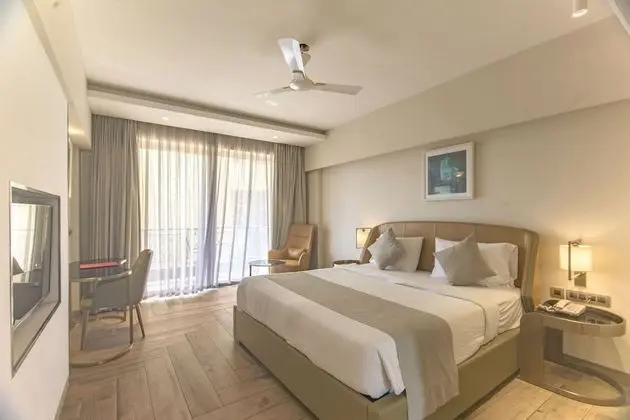 Deluxe Tek Büyük Yataklı Oda (Winter Green Room)