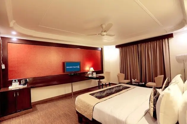Hazel Suite