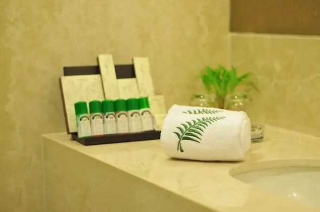 Winter Green Premium room