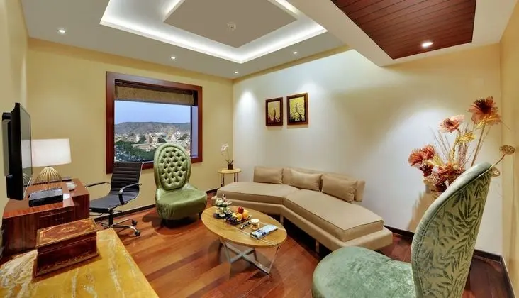 Superior Oda, 1 En Büyük (King) Boy Yatak, Sigara İçilmez, Şehir Manzaralı