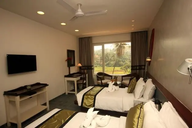 Winter Green Premium Room