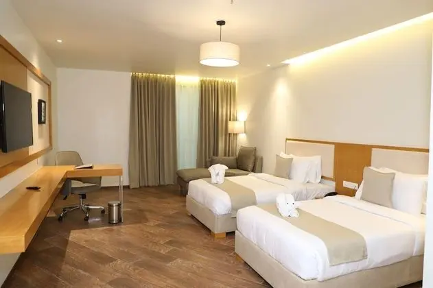 Winter Green Premium Room