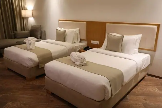 Winter Green Premium Room