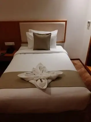 Winter Green Premium Room