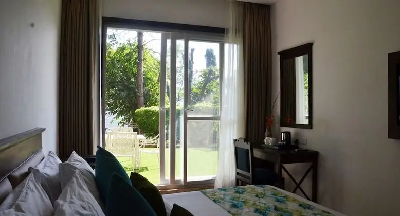 Winter Green Premium Room