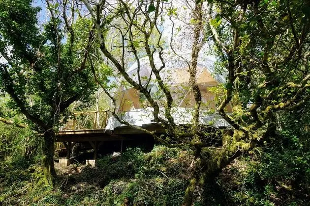 Ev, Banyolu/Duşlu (The Studio)
