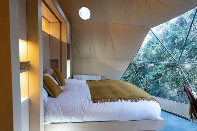 Luxury Ağaç Ev, Banyolu/Duşlu (Treehouse Dome)