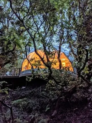 Luxury Ağaç Ev, Banyolu/Duşlu (Treehouse Dome)