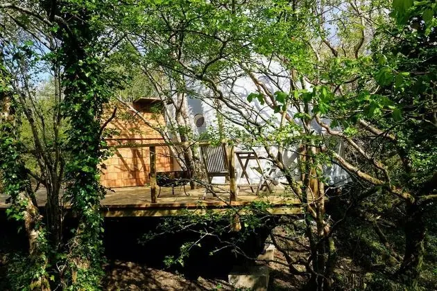 Luxury Ağaç Ev, Banyolu/Duşlu (Treehouse Dome)