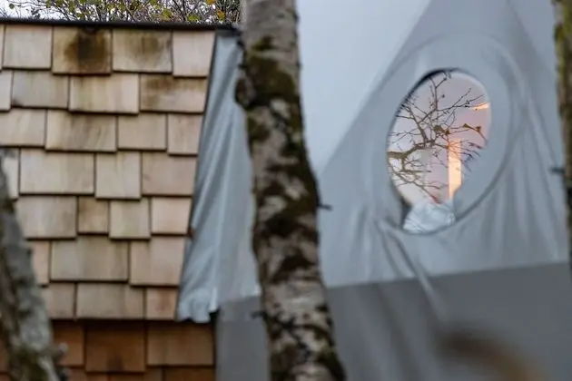 Luxury Ağaç Ev, Banyolu/Duşlu (Treehouse Dome)