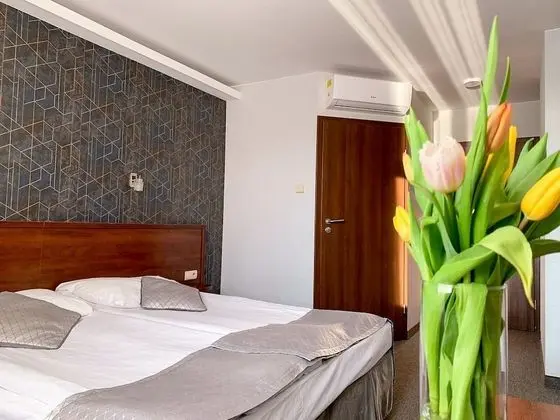 Business Tek Büyük veya İki Ayrı Yataklı Oda, 1 Yatak Odası