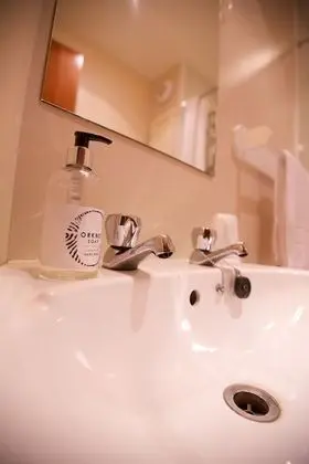 Basic Tek Kişilik Oda (Ferry Inn)