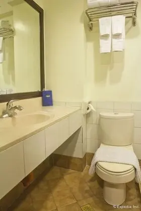 Deluxe Tek Kişilik Oda, 1 Büyük (Queen) Boy Yatak