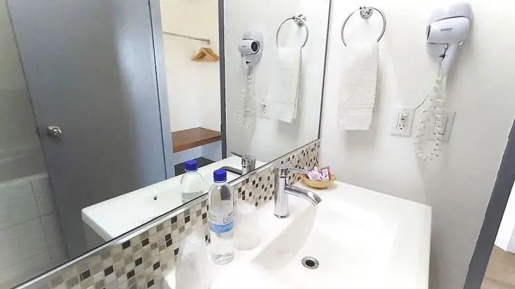 Çatı Katı Süiti (Penthouse)