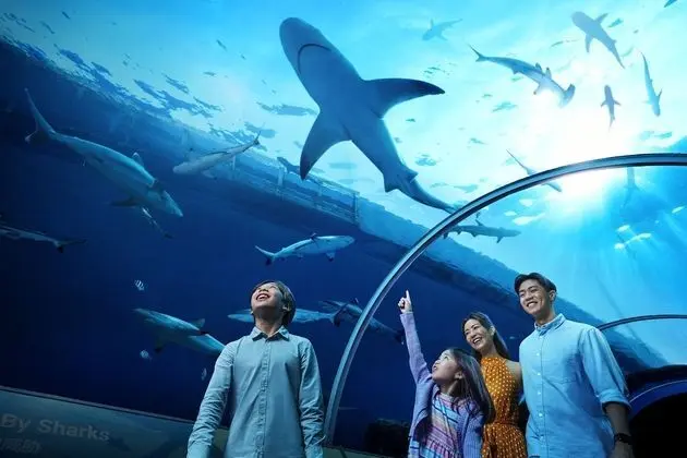 Deluxe Oda (Free Attraction Tickets for 2 Adults)