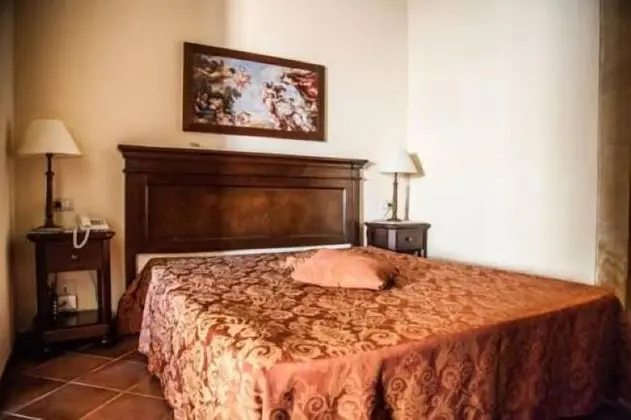 Superior Tek Büyük Yataklı Oda