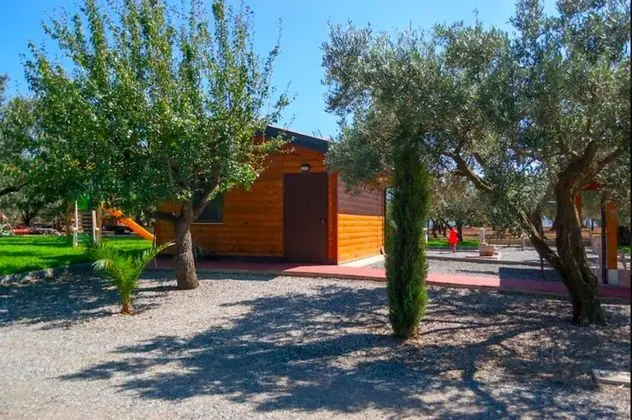 Basic Tek Kişilik Oda