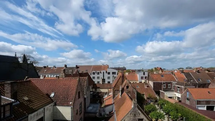 Economy Tek Büyük Yataklı Oda, 1 Yatak Odası, Şehir Manzaralı