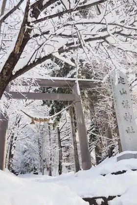 Apart Daire (608)