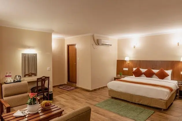Deluxe Tek Büyük Yataklı Oda