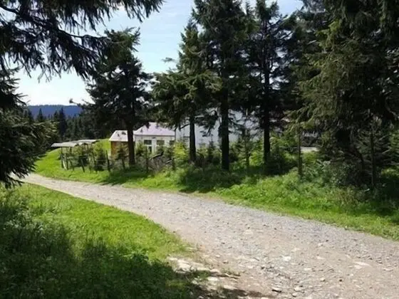 Süit, Banyolu/Duşlu, Dağ Manzaralı