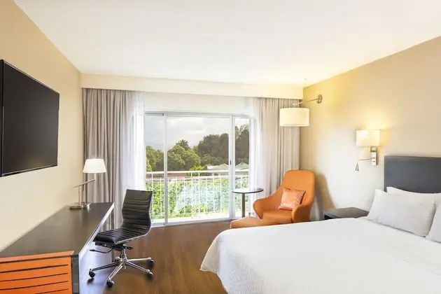Room With a view King