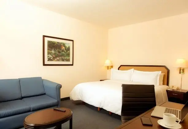 Superior Room, 1 king