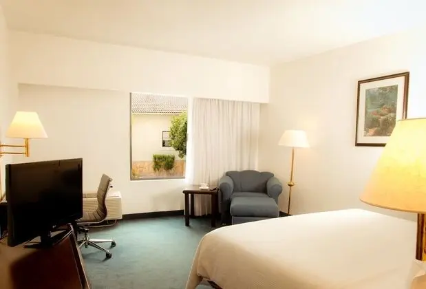 Superior Room, 1 king