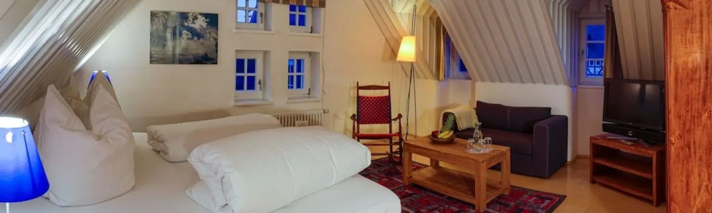 Comfort Tek Büyük Yataklı Oda (Hans Hick)