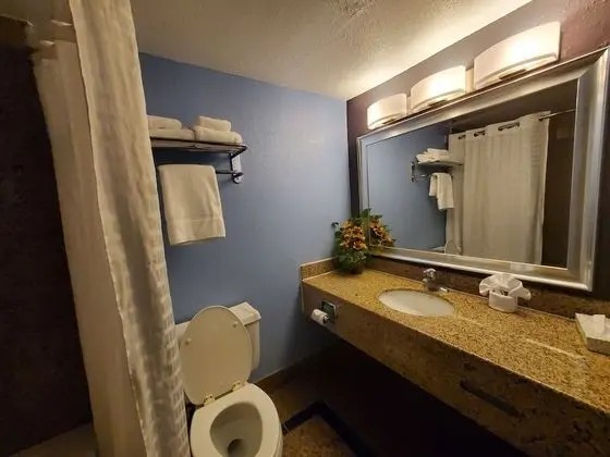 Comfort Oda, 1 En Büyük (King) Boy Yatak, Buzdolabı ve Mikrodalga