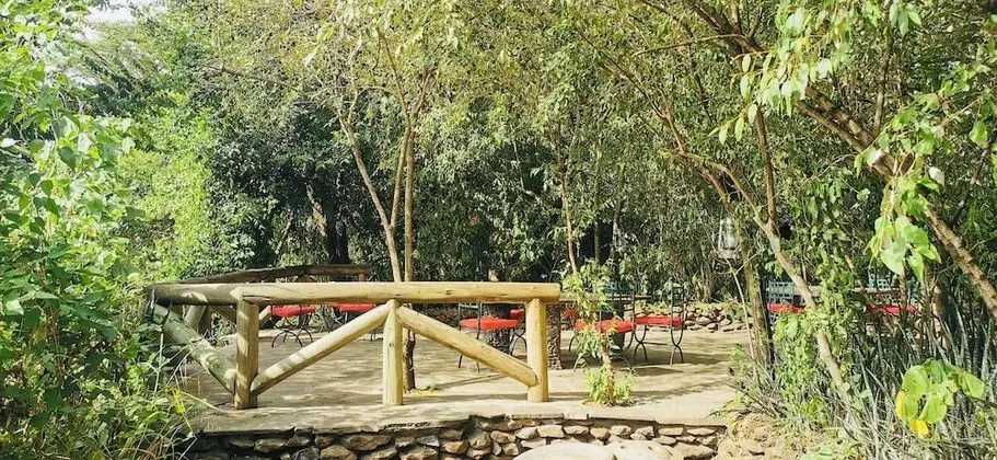 Luxury Çadır, Nehir Manzaralı