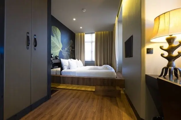 Superior Tek Büyük Yataklı Oda