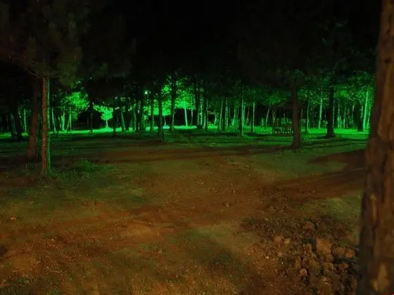 Bungalov