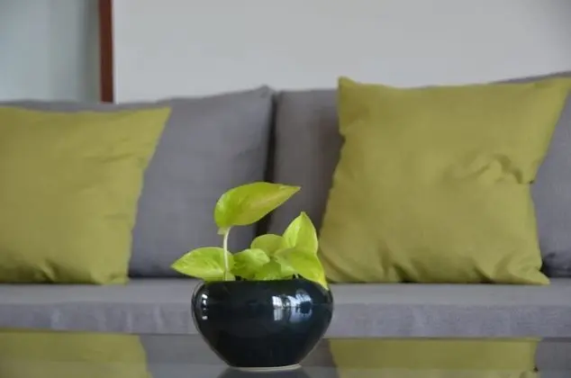 Luxury Villa, 3 Yatak Odası, Kişiye Özel Havuzlu