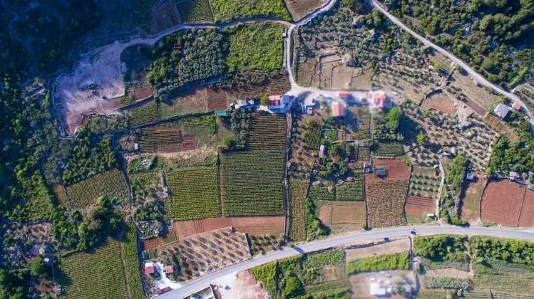 Stüdyo (Filip - vineyard and large terrace - )