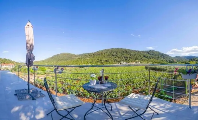 Stüdyo (Filip - vineyard and large terrace - )