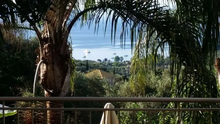 Stüdyo, Deniz Manzaralı (Double Occupancy)